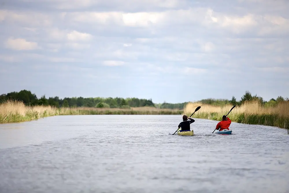 Twee kajakkers van achteren gezien, een in zwarte en een in rode jas, peddelen met dubbelbladige peddels over een brede vaart tussen rietkragen en bosranden onder een bewolkte lucht