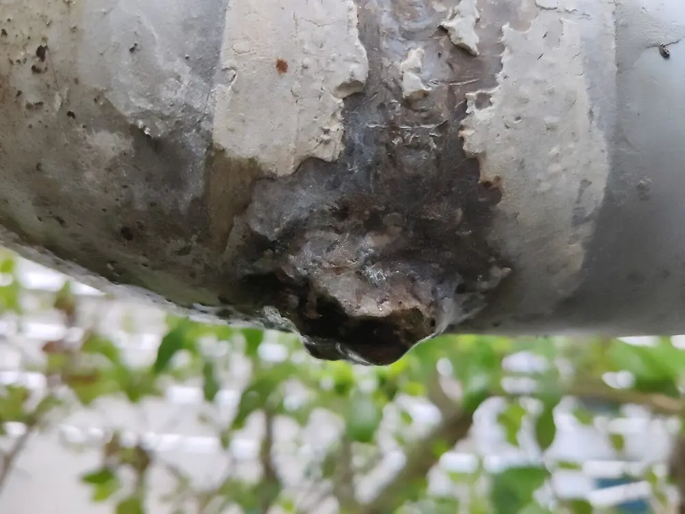 Close-up van een geverfde, deels afgebladderde waterleiding met een roestplek aan de onderkant waar een druppel water hangt